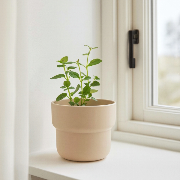 Homing Plastik Saksı Krem 11 cm SEH-4619