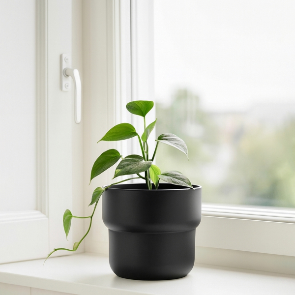 Homing Plastik Saksı Siyah 11 cm SEH-4620