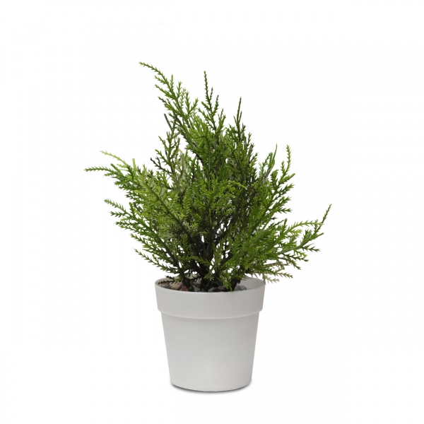 Homing Beyaz Saksılı Yapay Leylandi Ağacı 25 cm 