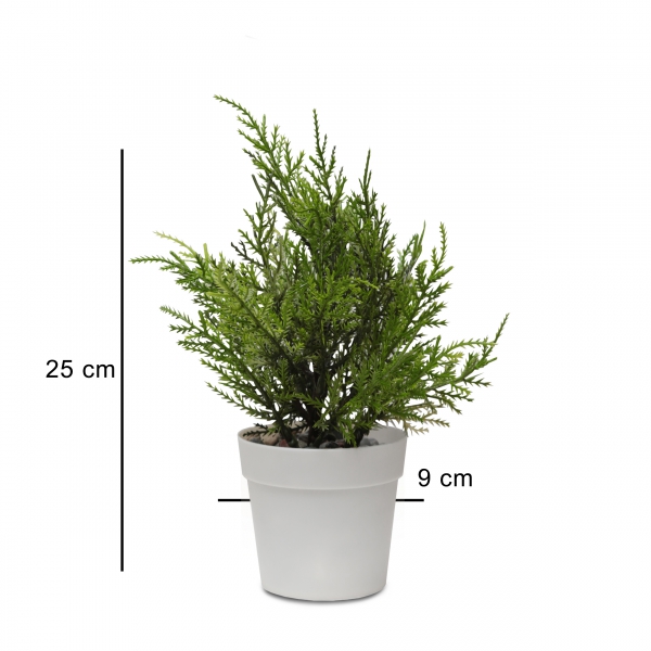 Homing Beyaz Saksılı Yapay Leylandi Ağacı 25 cm 