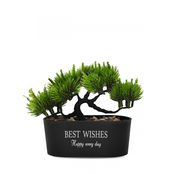 Homing Black Potted Coniferous Artificial Plant 241746