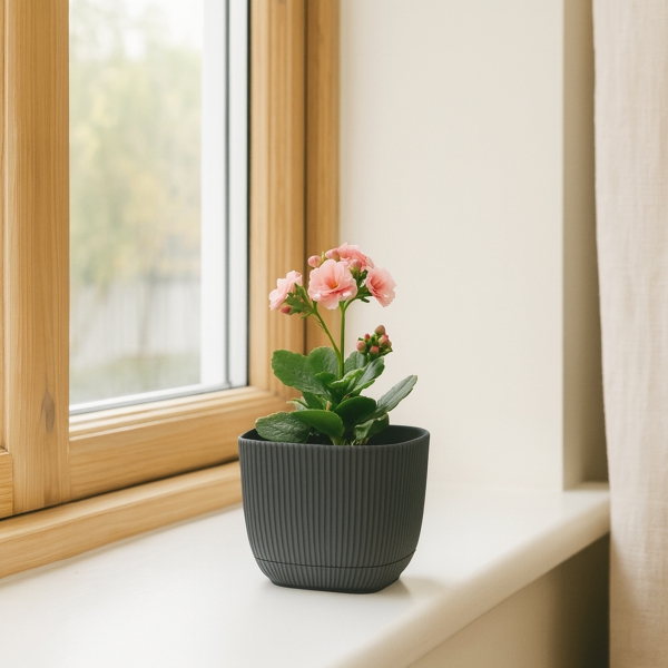 Homing Mini Kare Antrasit Saksı 242202