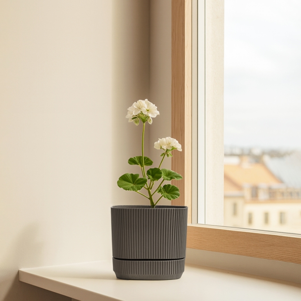 Homing Oval Koyu Gri Mini Saksı 242203