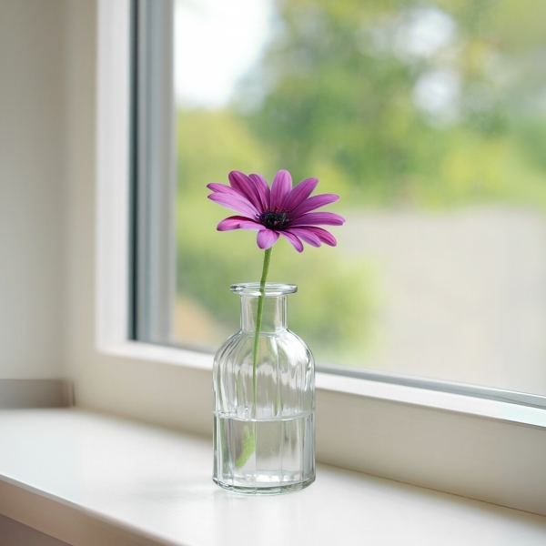 Homing Cam Şeffaf Vazo 242234