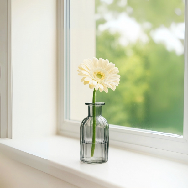 Homing Cam Gri Vazo 242235