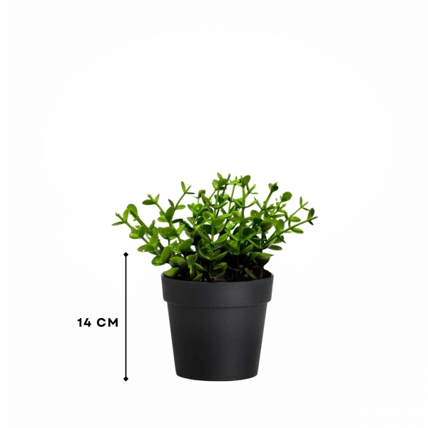 Homing Fika Yapay Bitki Siyah Saksılı 242266