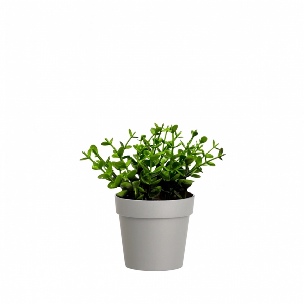 Homing Artificial Plant Grey Potted 242268
