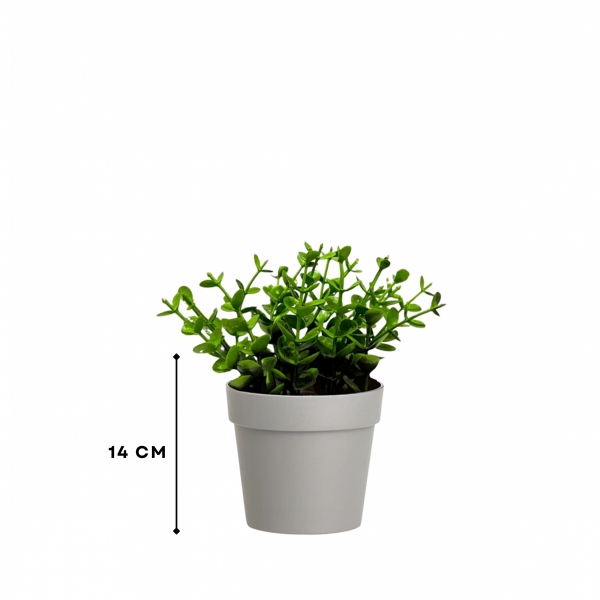 Homing Artificial Plant Grey Potted 242268