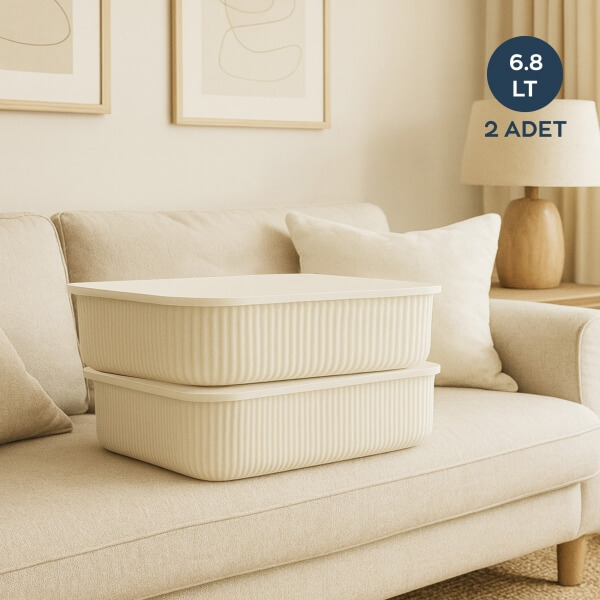 Homing 6.8lt Organizer Box Set of 2 242318