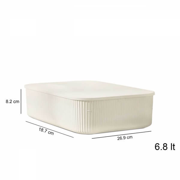 Homing 6.8lt Organizer Box Set of 2 242318