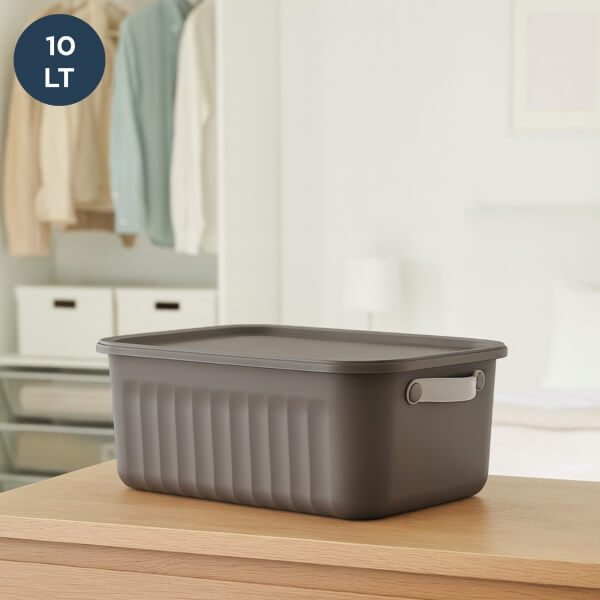 Homing Lumi Multi-Purpose Covered Gray Organizer Box 10 LT