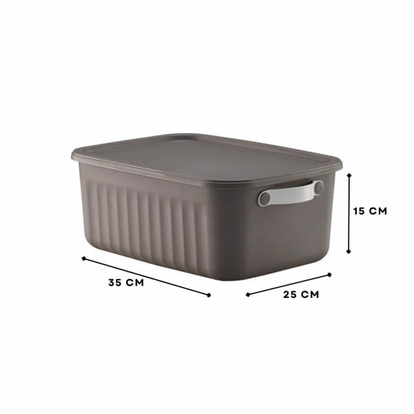 Homing Lumi Multi-Purpose Covered Gray Organizer Box 10 LT