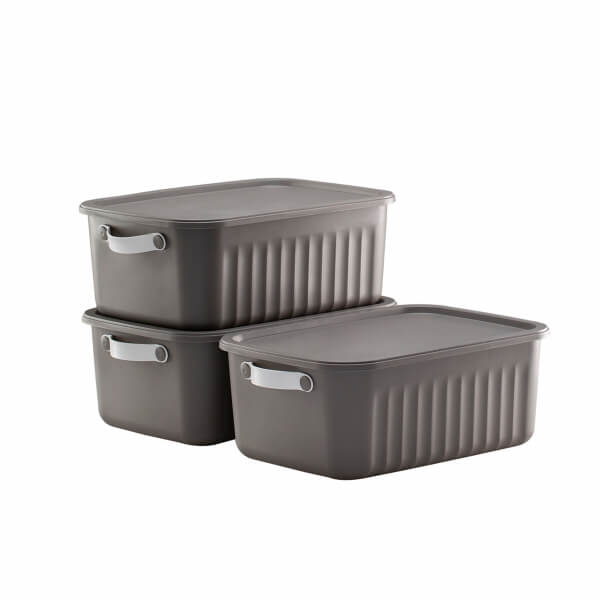 Homing Lumi Çok Amaçlı Kapaklı Gri Set Organizer Kutu 10 LT	