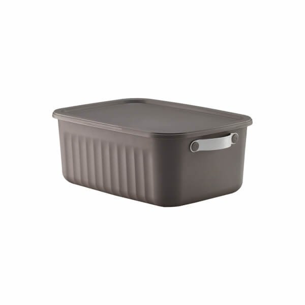 Homing Lumi Çok Amaçlı Kapaklı Gri Set Organizer Kutu 10 LT	