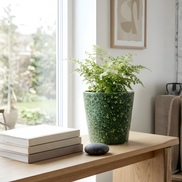 Homing Sorel Desenli Saksı 242688