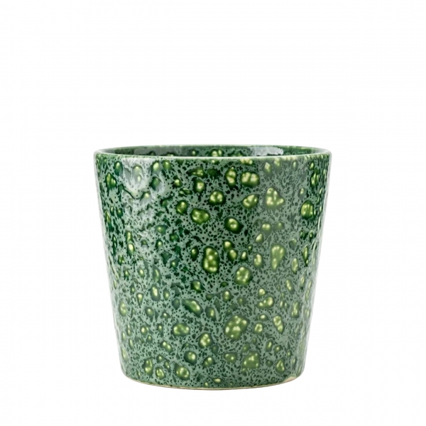 Homing Sorel Desenli Saksı 242688