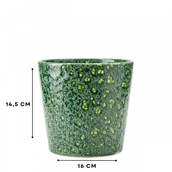 Homing Sorel Desenli Saksı 242688