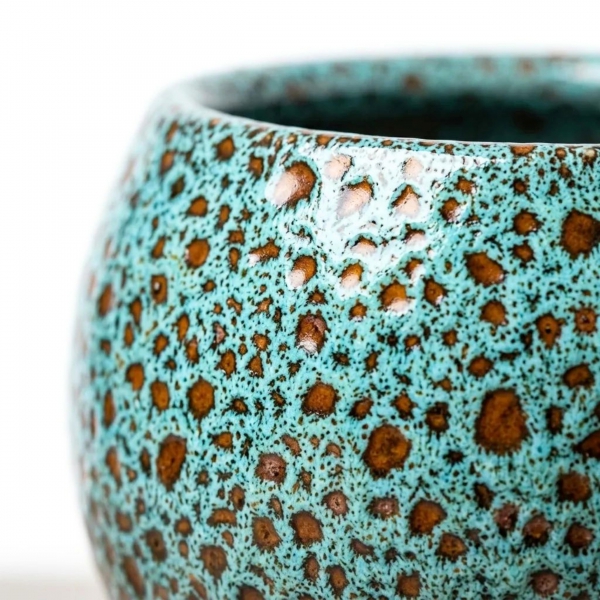 Homing Oriel Büyük Boy Fanus Saksı Siyah Desenli 16 cm