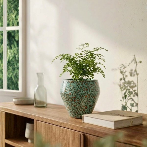 Homing Noma Dekoratif Saksı 18 cm