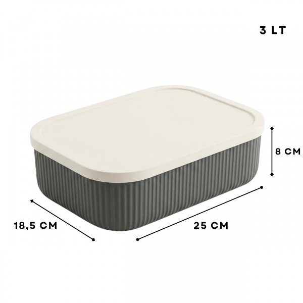 Homing Çok Amaçlı 3 lt Organizer 