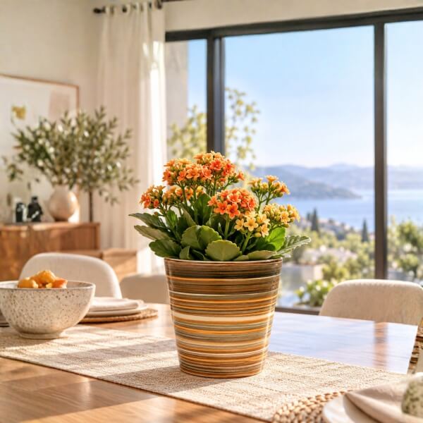 Homing Sunny Renkli Seramik Saksı