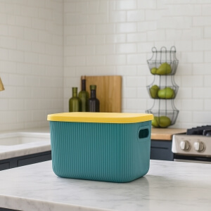 Homing Çok Amaçlı Kapaklı Organizer Kutu  ORG-2013