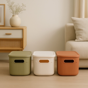 Homing 3 Adet Çok Amaçlı Kapaklı Renkli Organizer Kutu 241762