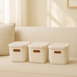 Homing 3 Adet Çok Amaçlı Kapaklı Ekru Organizer Kutu 242112