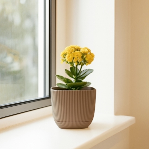 Homing Mini Kare Bej Saksı 242201