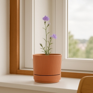 Homing Oval Somon Renk Mini Saksı 242205