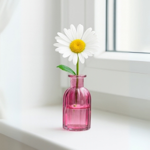 Homing Cam Mor Vazo  242231