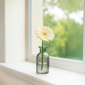 Homing Cam Gri Vazo 242235