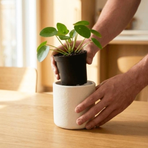 Homing Porte Design Ceramic Vase 242453