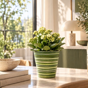 Homing Sunny Renkli Seramik Saksı 